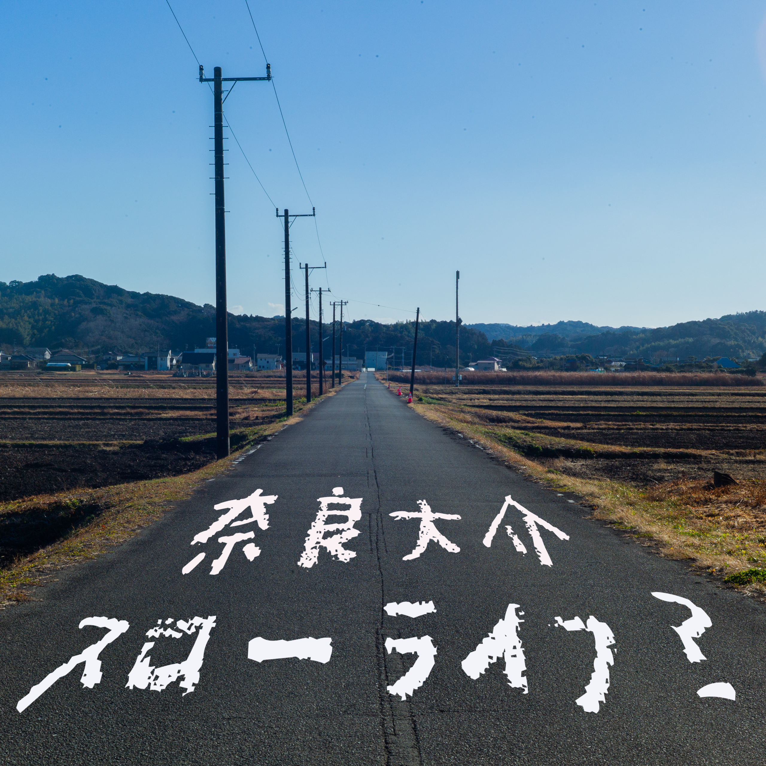 スローライフ？